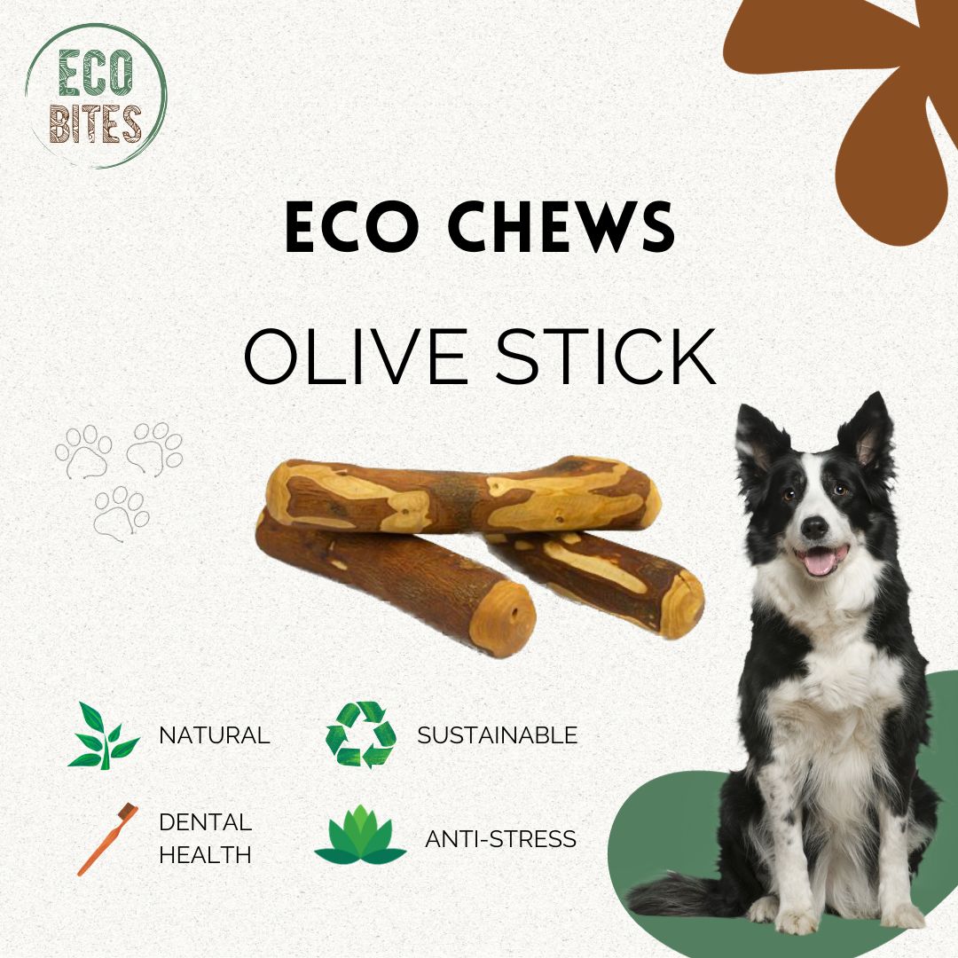 Olive Wood Chew for Medium-size Dogs - Size M