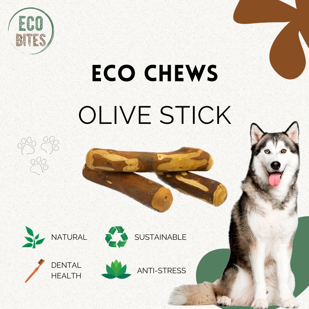 Olive Wood Chew for Large Dogs - Size L